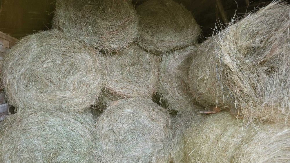 Baloti de fan rotund