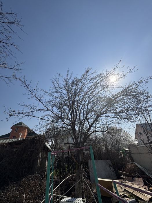 Бесплатно забрать дрова