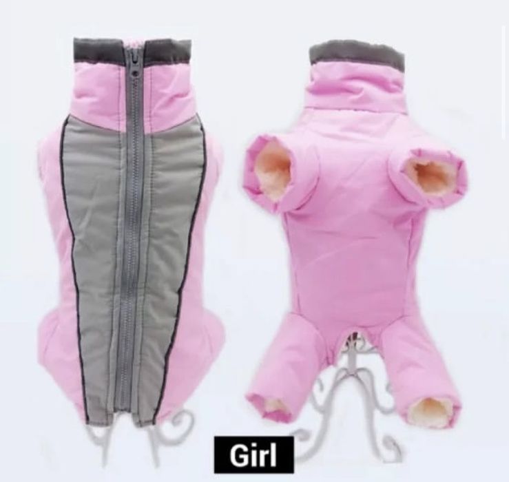 одежда для животных