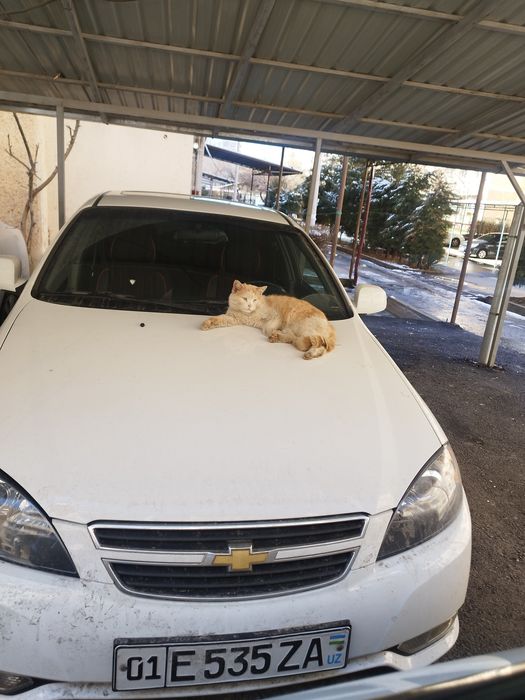 Ассалому алейкум зудлик бн сотилади