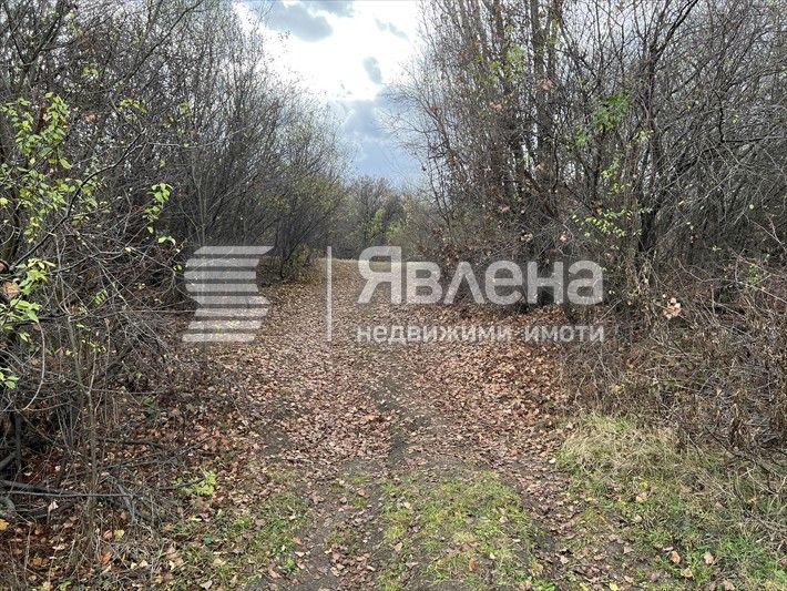 Продава се Парцел в с. Лозен, Област София-град - 2130 кв.м за 40 €/кв.м - Снимка #2