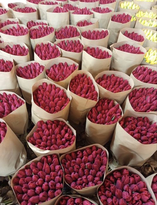 тараз, ваш шанс!!