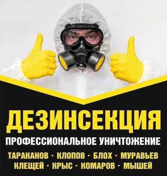 Дезинфекция в Астане