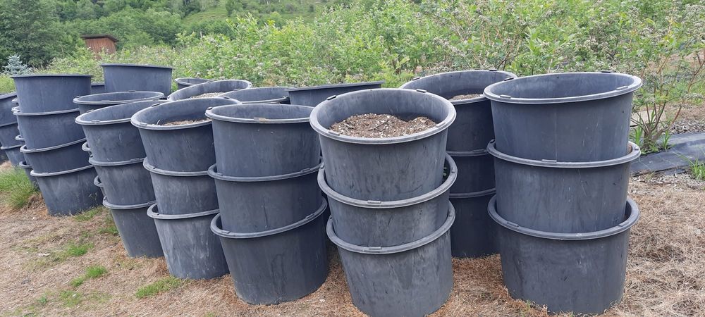Containere de 60 litri, de vânzare