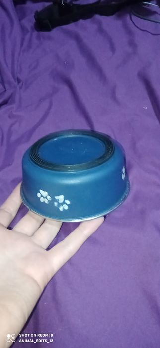 продам миску для собак мелких пород