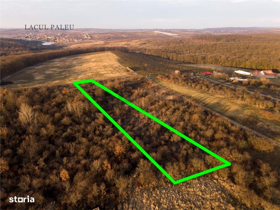 Reco Teren intravilan in Saldabagiu de munte 4333MP