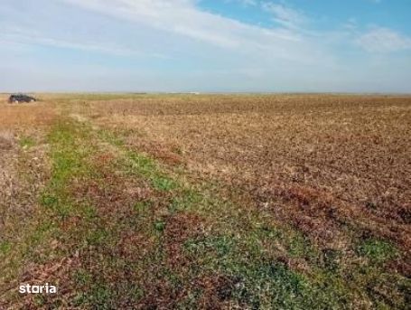 Teren extravilan, Loc Lehliu-Gara, Jud Calarasi