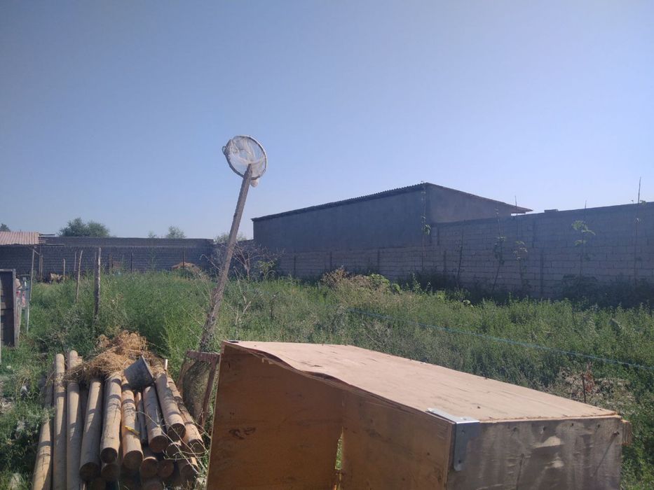 Nazarbek tekistilda yer sotladi