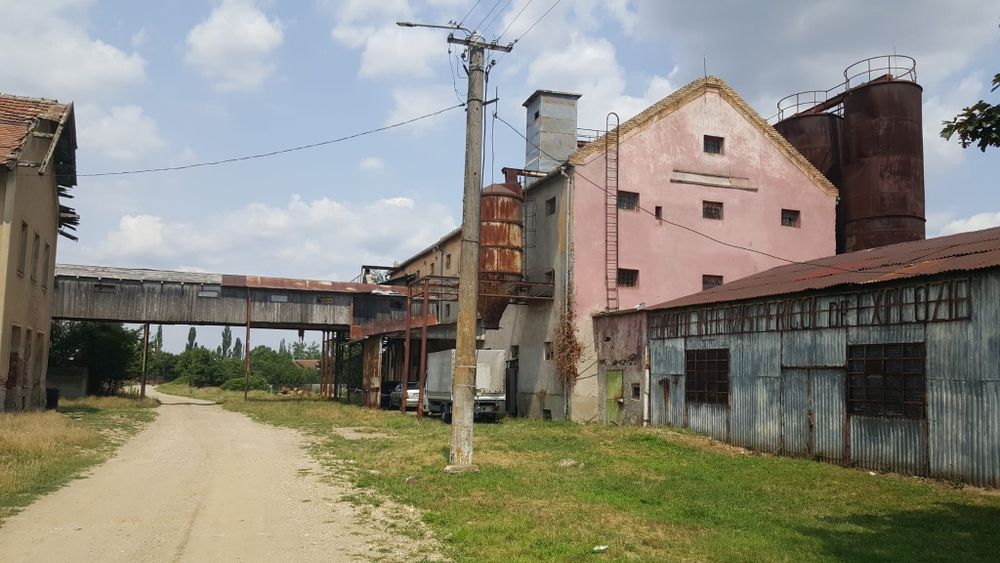 Moara de grâu, Ciacova