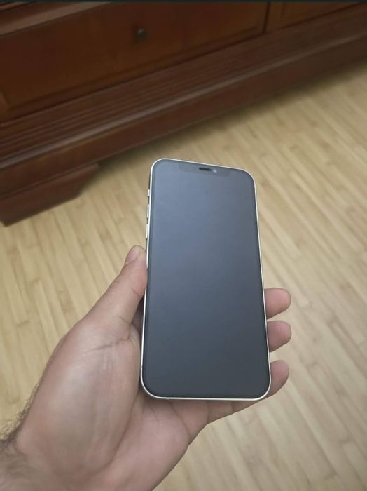 iPhone 12 Pro (128GB silver)