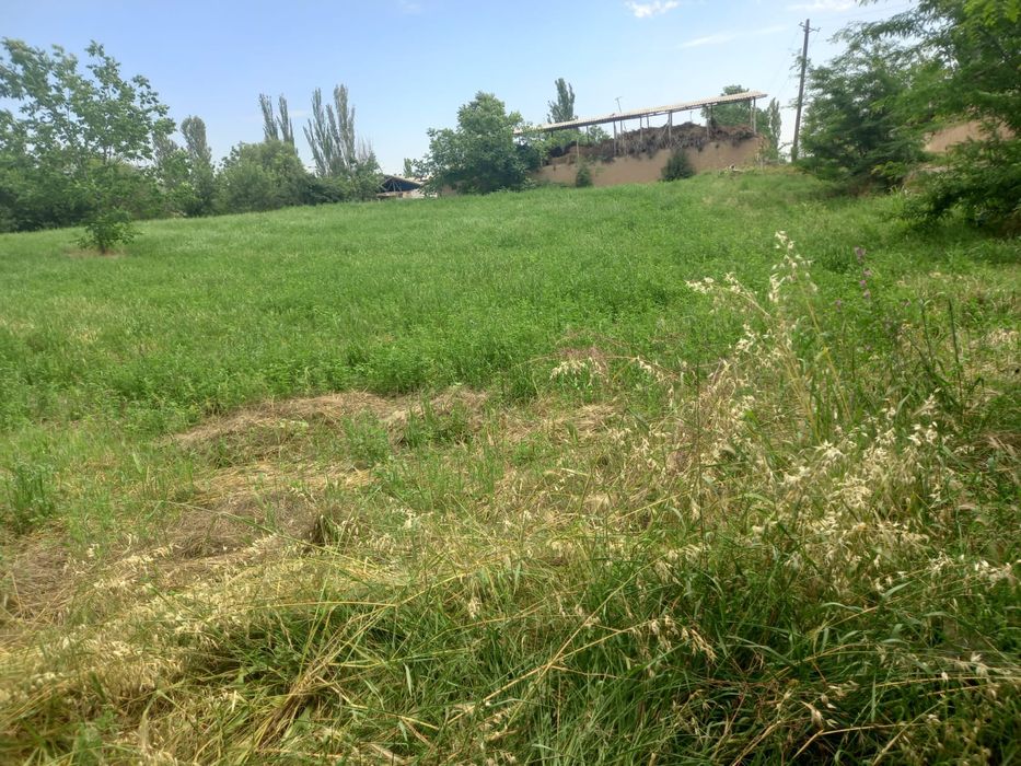 Участок. Учаска. Дача. ЯНГИБАЗАР-ЖУМАБАЗАР