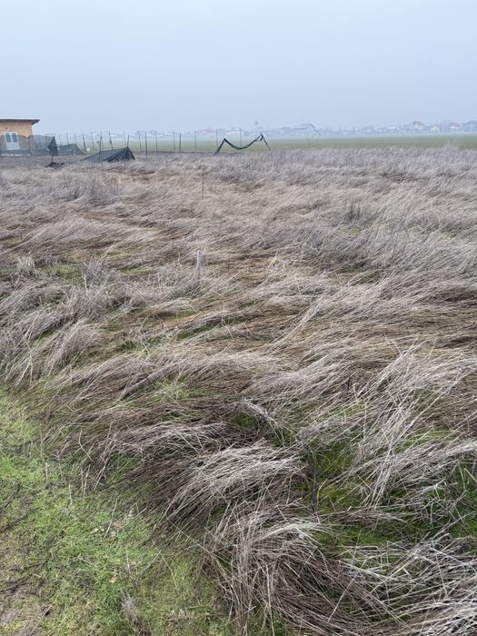 Vand/Schimb teren in Simian