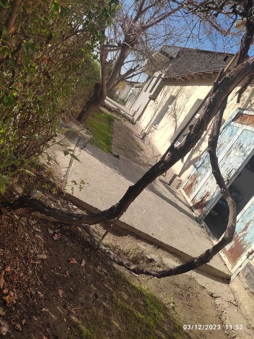 Ховли жой сотилади