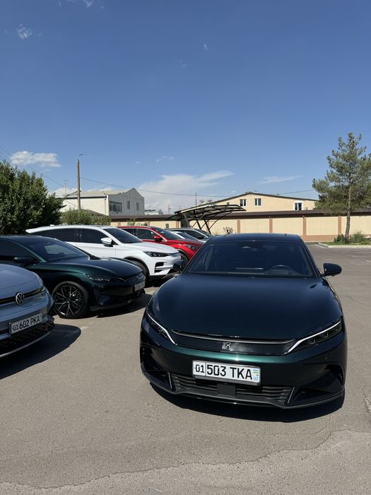 ПРОКАТ АВТО! Rent A Car! Kunlik ijara! Velvet