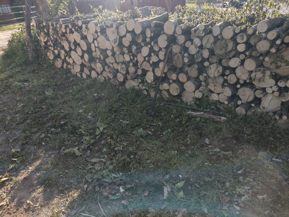 Lemne de foc esență