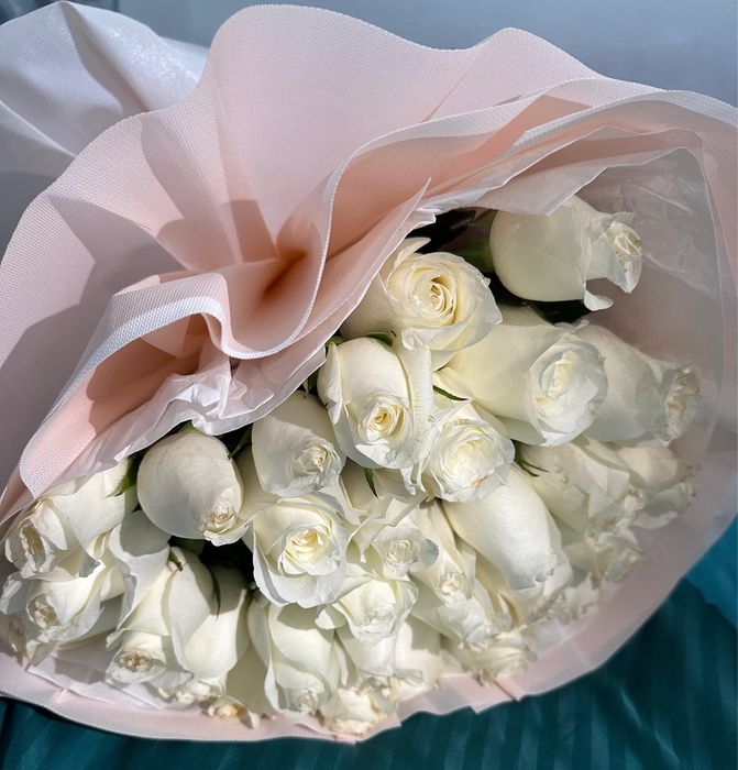 Голландская белая роза