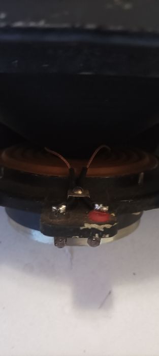 Бг бас говорител