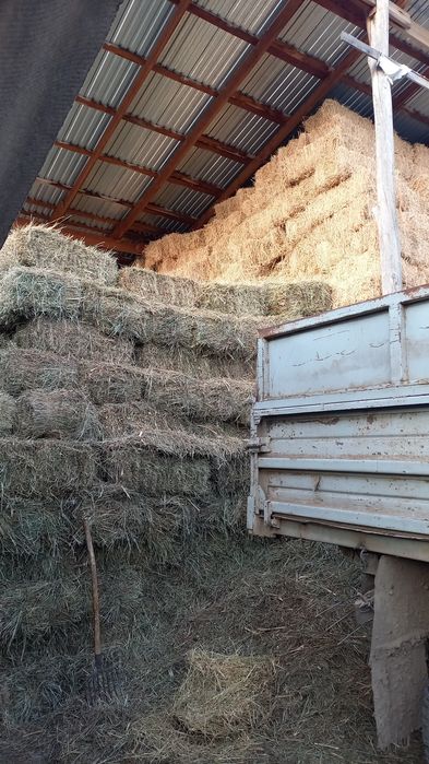 Продам люцерну и горное сено