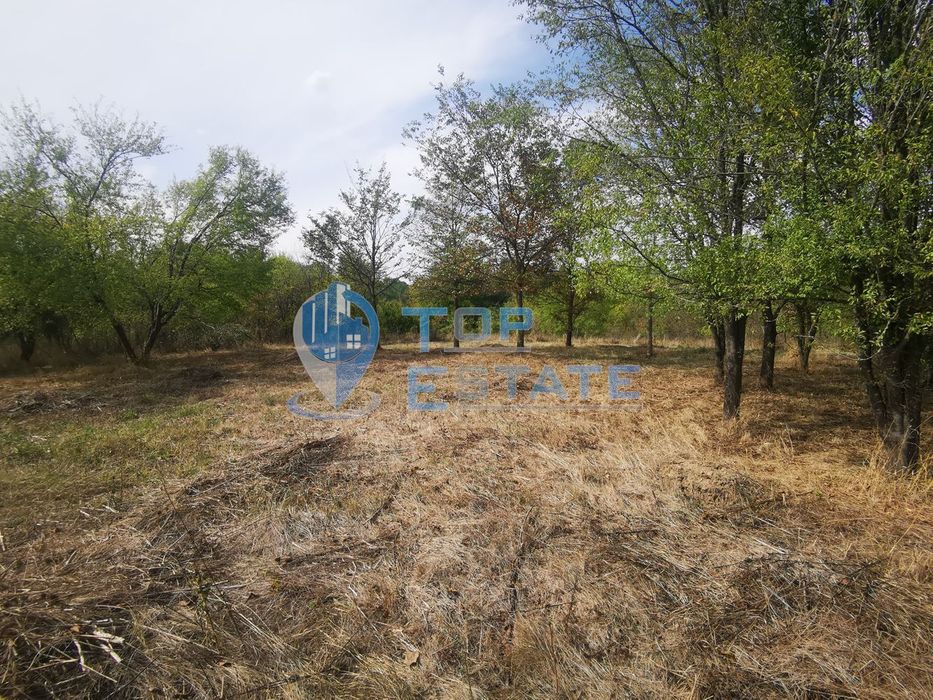 Продава се Къща в с. Плаково, Област Велико Търново - 100 кв.м за 474 €/кв.м - Снимка #7