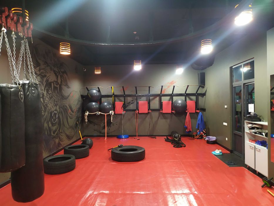 Боевое Самбо и ММА (идёт набор в группу)