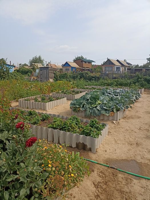 Продам дачу)общ.Лада, Новопавловка