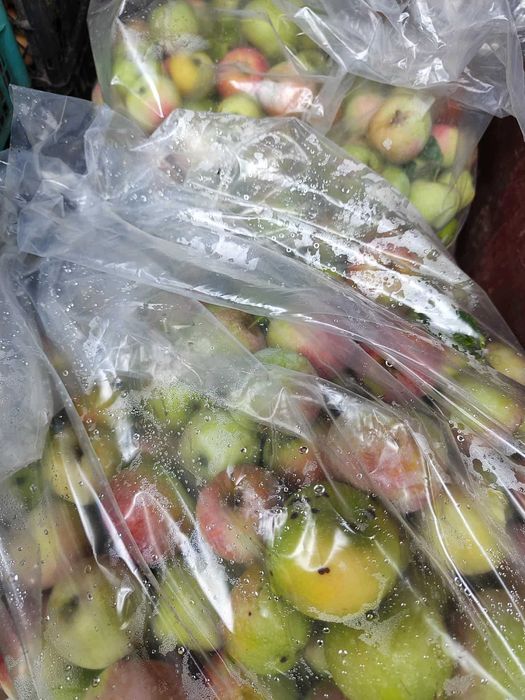 Ябълки, ябълки за сок, ябълки за консумация, ябълки за преработка и др