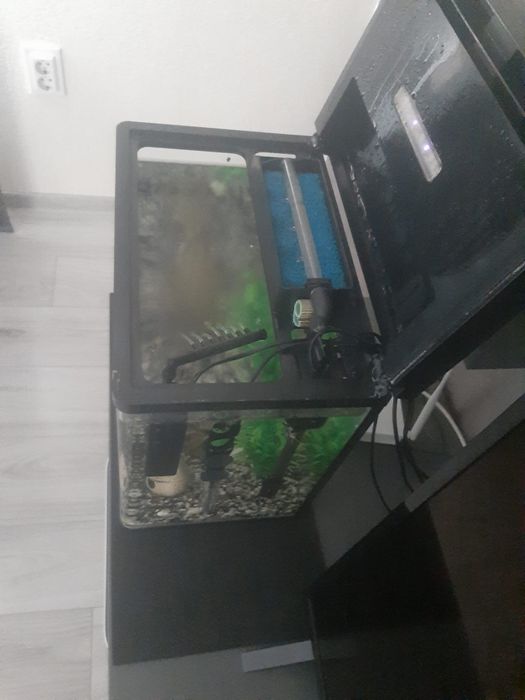 Vand urgent acvariu 60 l