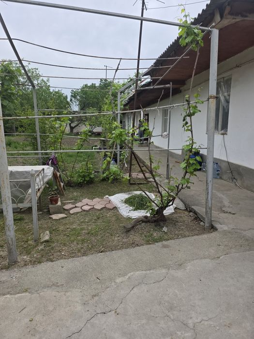 Кибрай тумани Бурота махалласида 12 сотихли ер участкаси сотилади.