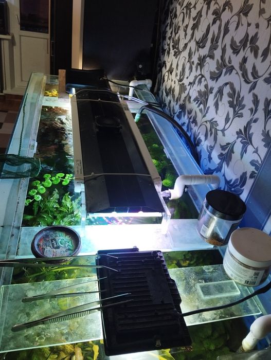 Продам аквариум со всем содержимым