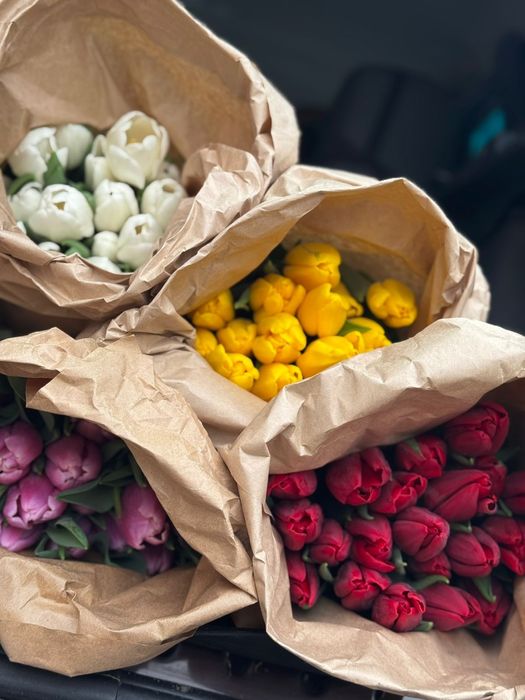 Голландские тюльпаны