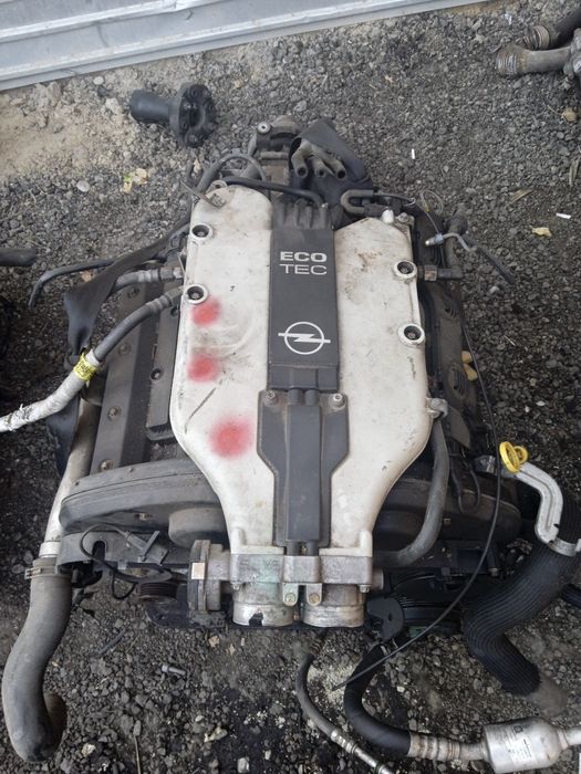 Маторы из Европы