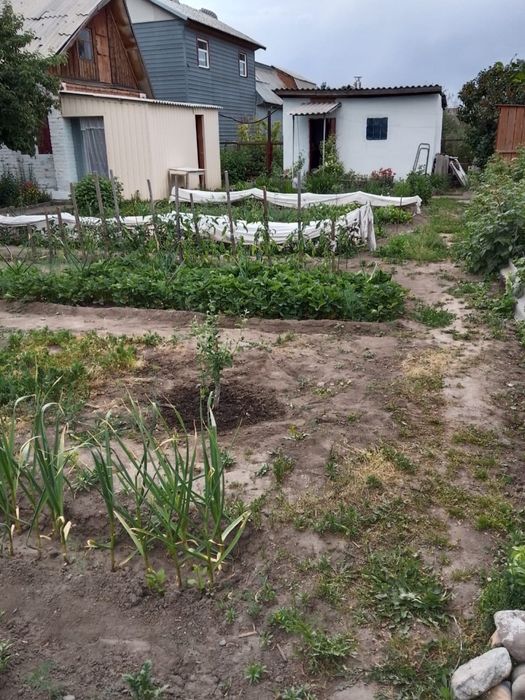 Продам дачу с.о Родничнк