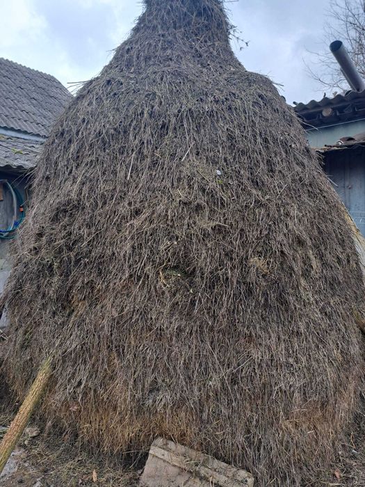 Fân și otavă de vanzare