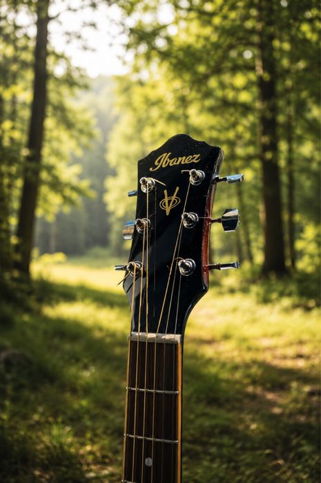 Акустична китара Ibanez