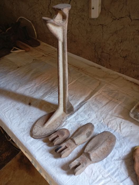 Лапка сапожников