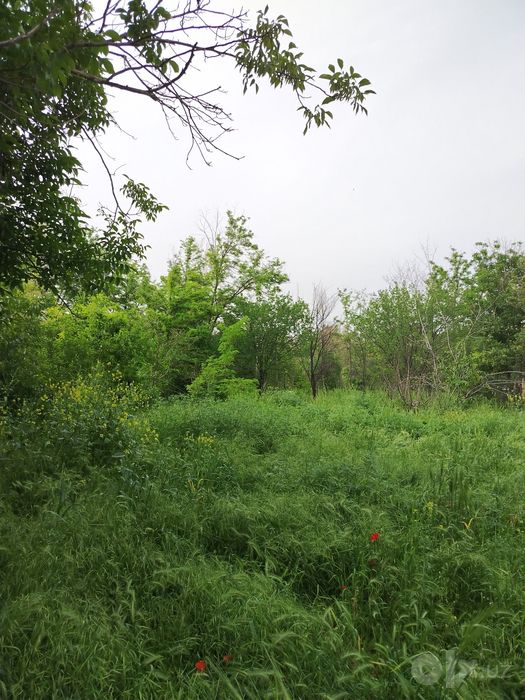 Yer uchastka sotiladi