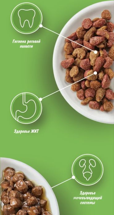 Kitekat китикет влажный корм
