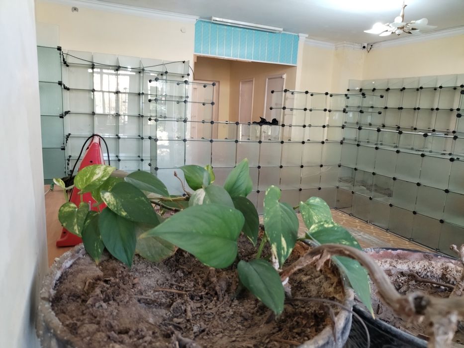 Аптека сдаётся в аренду