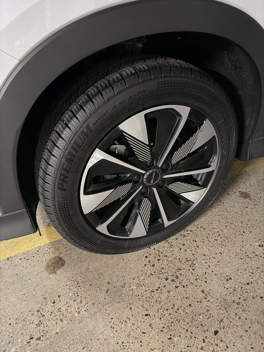 Byd champion restayling