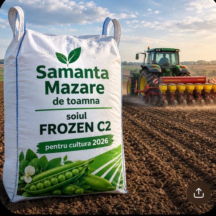 Sămânță Mazăre de TOAMNA soiul FROZEN