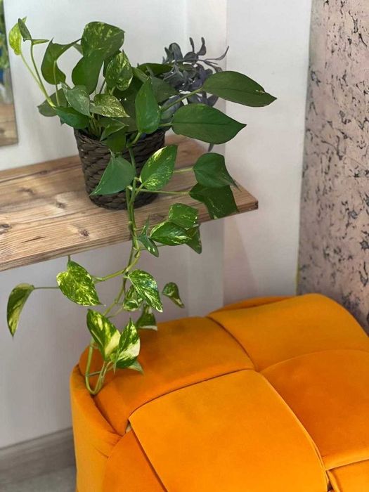 Аренда помещения  Nest One  60м2