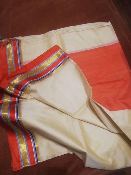 Sari indian, diferite modele