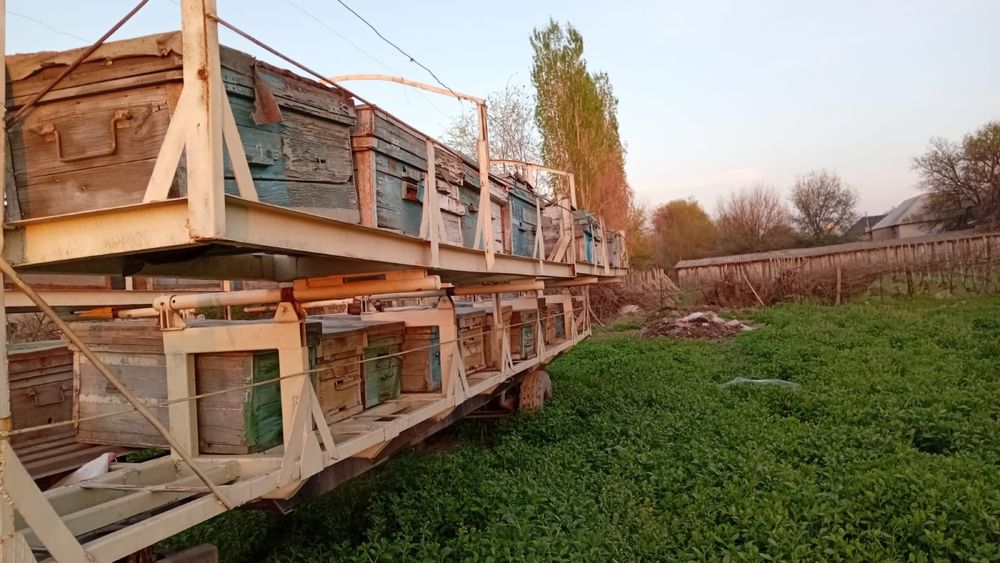 Ящики пчеловодства