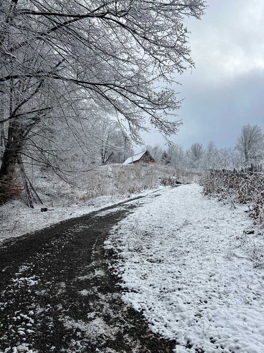 Cabana de închiriat în Munții Retezat la 26 de km de Straja