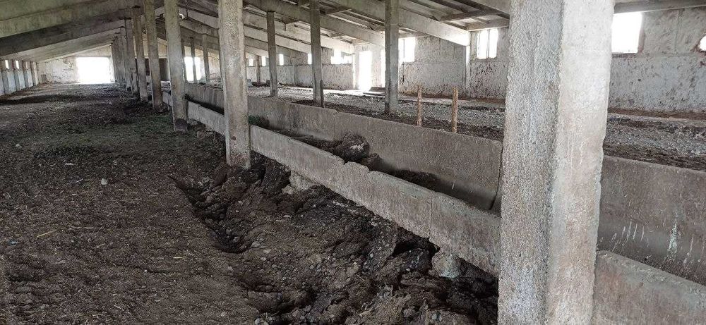 Noturar bino sotiladi