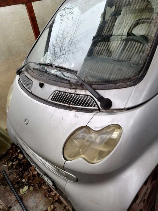 SMART 250 motorina cu 2 locuri