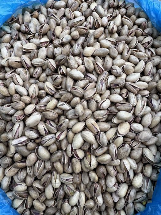 Местные фисташки mestniy pista ozimizni Uzbekiston pistasi Узбекские