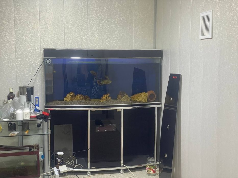 Аквариум около 200 литров +-