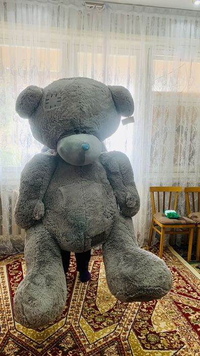 Teddy Ayuchasi | Мышка Тедди