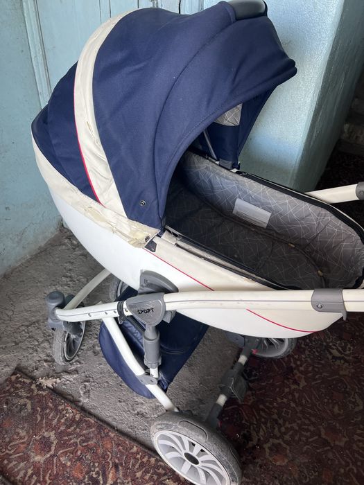 Коляска Anex sport